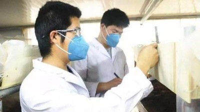 负载对草莓视频污在线免费的温湿度性能有哪些影响？